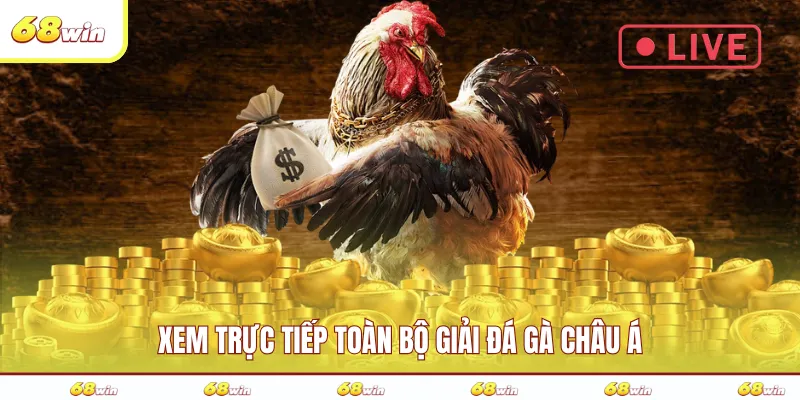 Xem trực tiếp toàn bộ giải đá gà châu Á